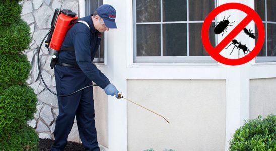 Kadıköy Sivrisinek İlaçlama böcek ilaçlama ve haşere kontrolü — ilaclama-tr.com